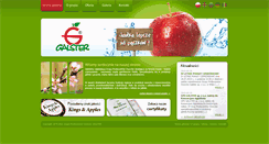 Desktop Screenshot of galster.pl